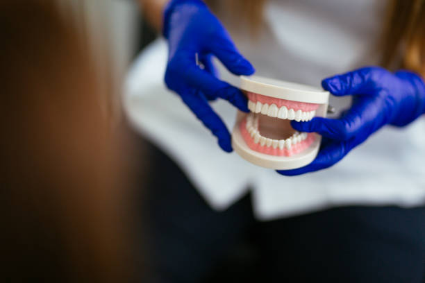 Dental Bonding in Lake Magdalene, FL