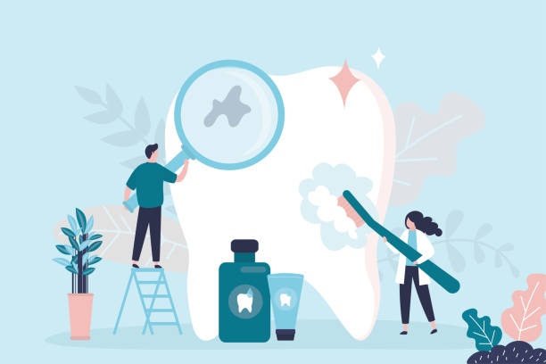 Best Dental Exams and Cleanings  in Lake Magdalene, FL